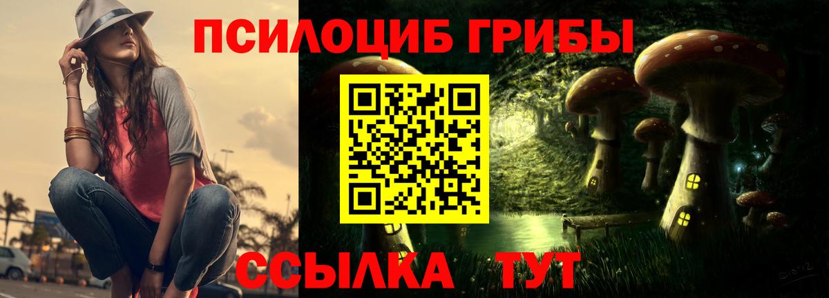 Галлюциногенные грибы прущие грибы  Вход с VPN  Донецк 