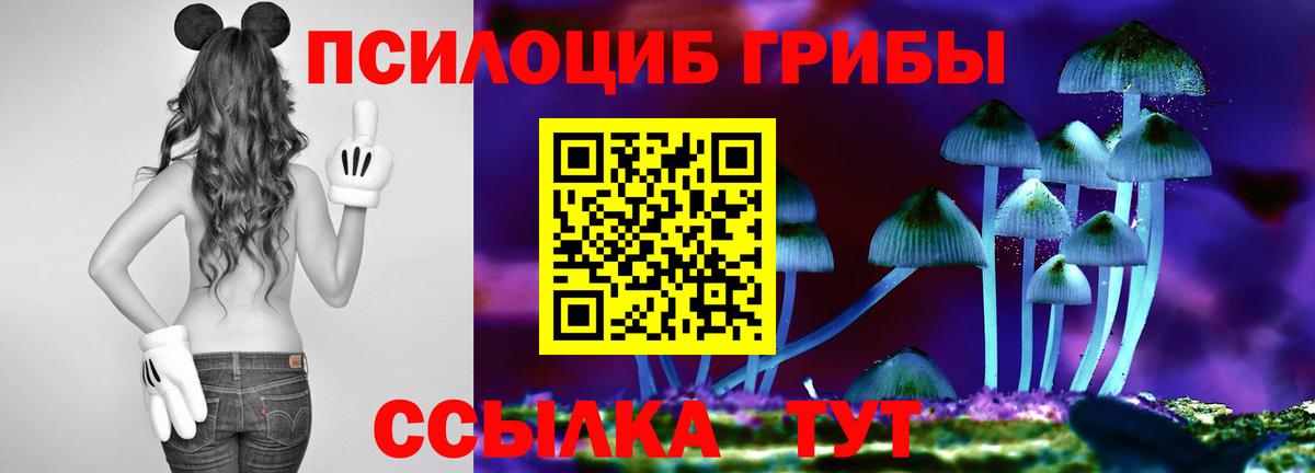 Псилоцибиновые грибы Magic Shrooms Донецк